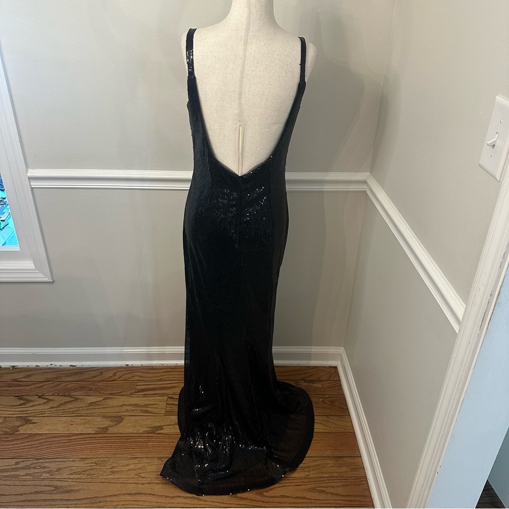 BASIX black label sequin gown- Size 4 - Picture 4 of 5